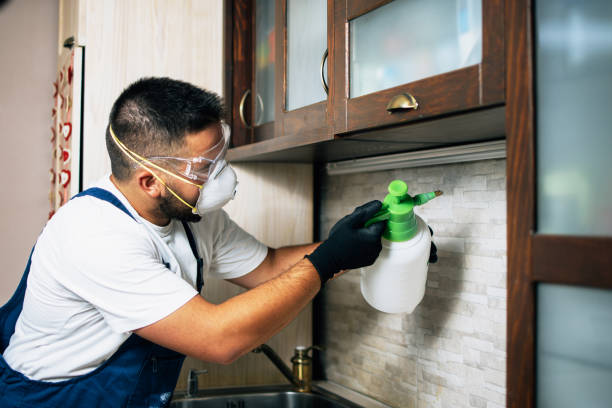 Best Insect Control  in Pineville, LA