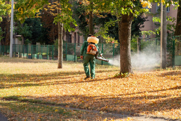 Best Rat Extermination Near Me  in Pineville, LA
